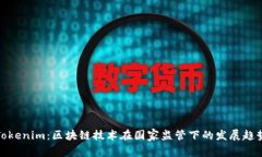 Tokenim：区块链技术在国家