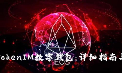 如何解码TokenIM数字钱包：详细指南与使用技巧