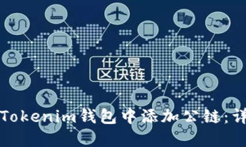 如何在Tokenim钱包中添加公链：详细指南