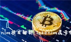 Tokenim项目解析：Tokenim属于