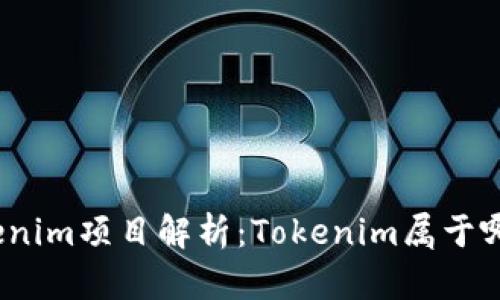 Tokenim项目解析：Tokenim属于哪里？