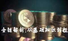 虚拟币全链解析：从基础