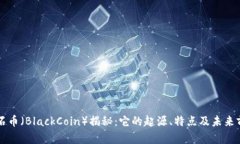 黑石币（BlackCoin）揭秘：