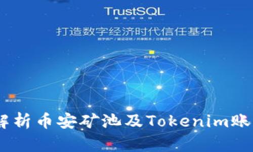biatoti全面解析币安矿池及Tokenim账户的使用指南