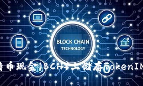如何在比特币现金（BCH）上储存TokenIM：全面指南