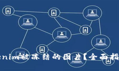 如何解冻Tokenim被冻结的图片？全面指南与解决方案