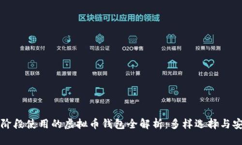 中国现阶段使用的虚拟币钱包全解析：多样选择与安全保障