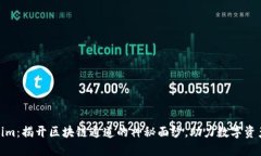 Tokenim：揭开区块链通道的