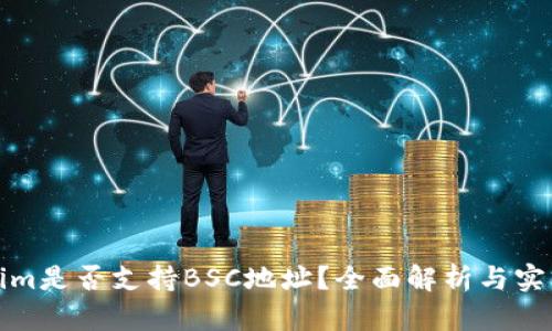 Tokenim是否支持BSC地址？全面解析与实用指南