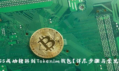 如何将ASS成功转移到Tokenim钱包？详尽步骤与常见问题解答