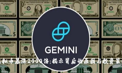 虚拟币暴涨2000倍：揭示背后的原因与投资策略