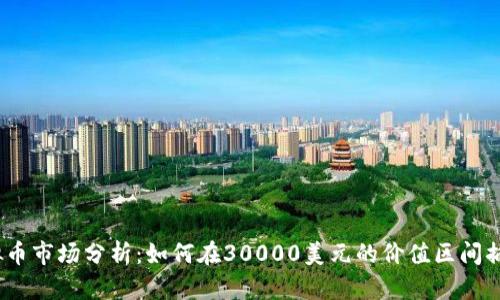 2023年虚拟币市场分析：如何在30000美元的价值区间捕捉投资机会