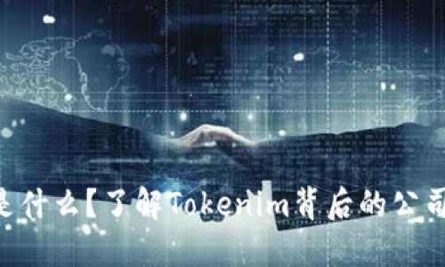 Tokenim是什么？了解Tokenim背后的公司及其定位