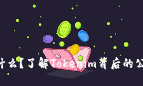 Tokenim是什么？了解Tokenim背后的公司及其定位
