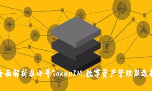 全面解析非小号TokenIM：数字资产管理新选择
