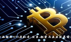 全面解析NTS虚拟币：交易
