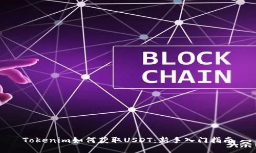 Tokenim如何获取USDT：新手入门指南