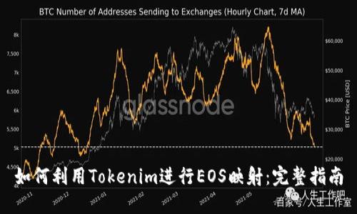 如何利用Tokenim进行EOS映射：完整指南