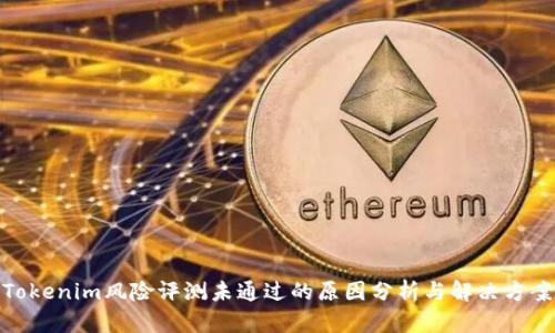 Tokenim风险评测未通过的原因分析与解决方案