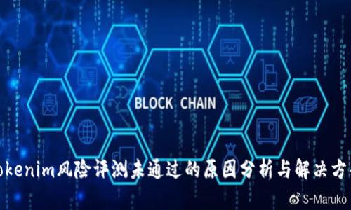 Tokenim风险评测未通过的原因分析与解决方案