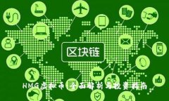HMG虚拟币：全面解析与投