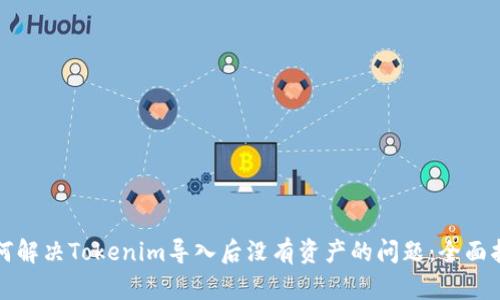 如何解决Tokenim导入后没有资产的问题：全面指南