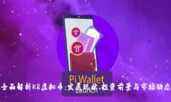 全面解析KR虚拟币：发展现