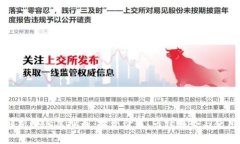 深入解析LMM虚拟币：投资