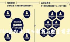 TBN虚拟币：深入解析与投