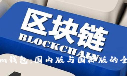 Tokenim钱包：国内版与国际版的全面解析