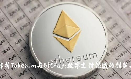 深入解析Tokenim与BitPay：数字支付领域的创新与前景
