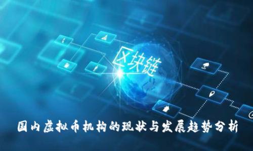 国内虚拟币机构的现状与发展趋势分析