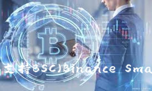 为什么Tokenim钱包不支持BSC（Binance Smart Chain）的原因分析