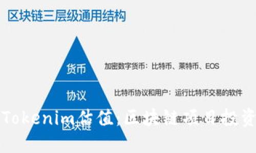 深入探讨Tokenim估值：区块链项目投资者的指南