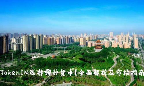 TokenIM选择哪种货币？全面解析及市场指南