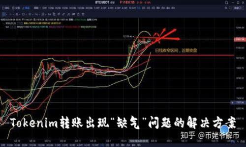 Tokenim转账出现“缺气”问题的解决方案