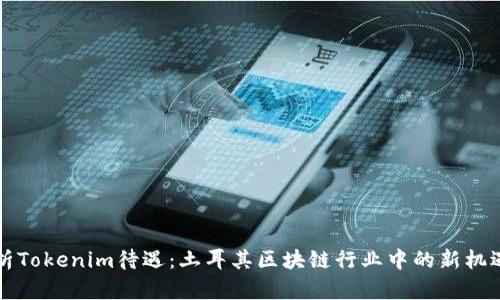 深入解析Tokenim待遇：土耳其区块链行业中的新机遇与挑战