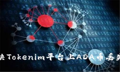 如何解决Tokenim平台上ADA币丢失的问题