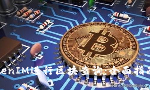 如何使用TokenIM进行区块查询：全面指南与实用技巧