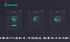 全面解析STS虚拟币：市场