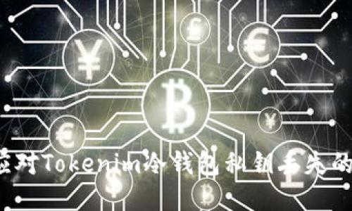 如何应对Tokenim冷钱包私钥丢失的问题？