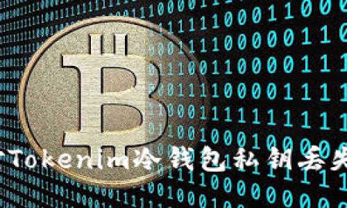 如何应对Tokenim冷钱包私钥丢失的问题？