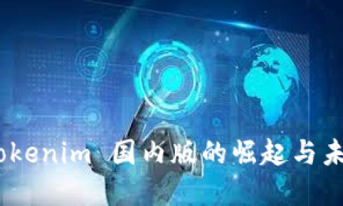 深入探讨：Tokenim 国内版的崛起与未来发展趋势