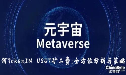 : 如何TokenIM USDT矿工费：全方位分析与策略指导