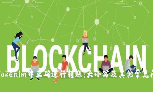 如何在Tokenim中正确进行转账：大小写及其他常见问题解答