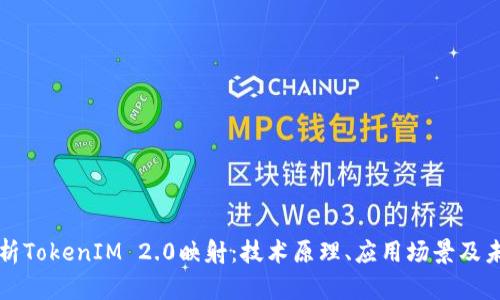 全面解析TokenIM 2.0映射：技术原理、应用场景及未来展望
