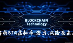 全面解析BIG虚拟币：潜力