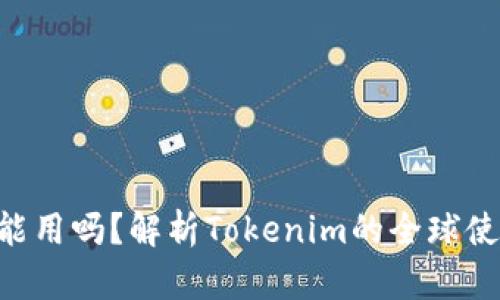 Tokenim全世界能用吗？解析Tokenim的全球使用范围及其影响