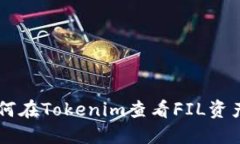 xiaoshuo如何在Tokenim查看F
