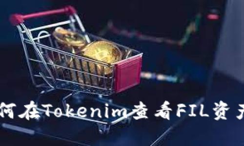 xiaoshuo如何在Tokenim查看FIL资产的完整指南